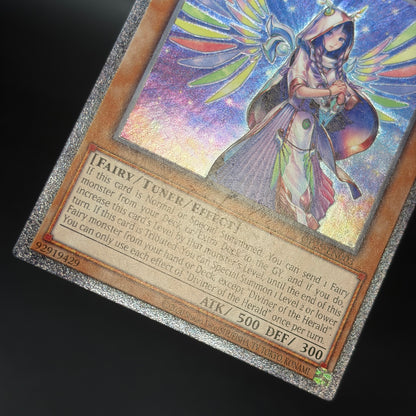 遊戯王　宣告者の巫女/レリーフ/英語/EU