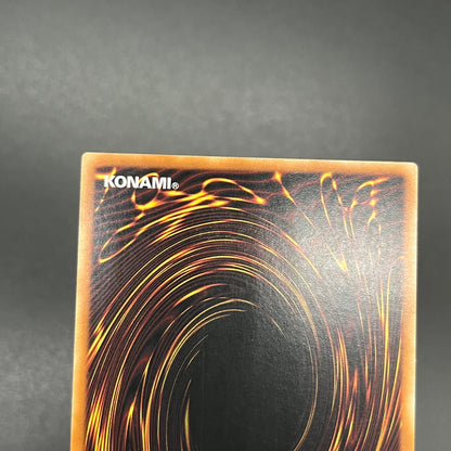 遊戯王　ダーク・ホルス・ドラゴン/レリーフ/ドイツ/1st/EU版