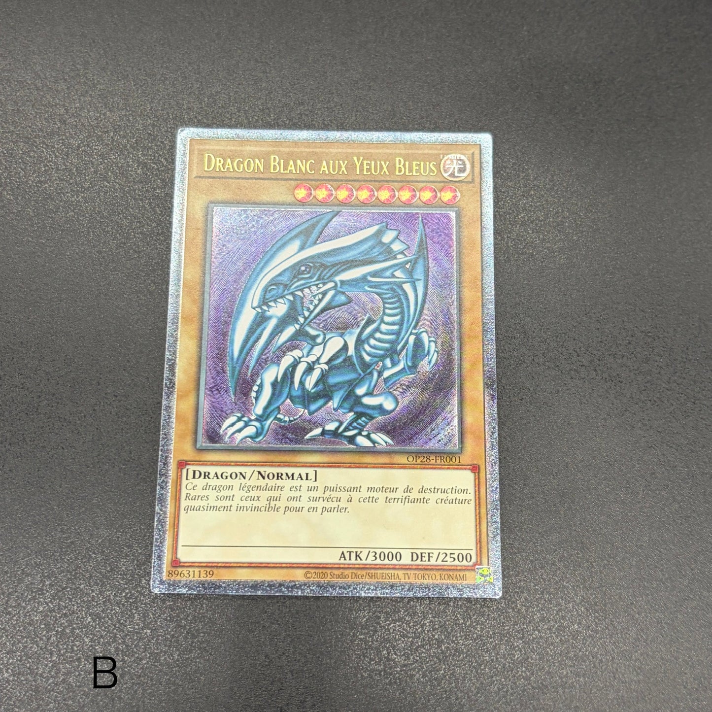 遊戯王　青眼の白龍/レリーフ/フランス語/EU版