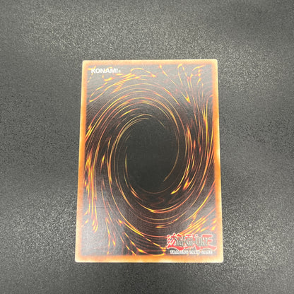 遊戯王　サンダー・エンド・ドラゴン/レリーフ/ドイツ/1st/EU版