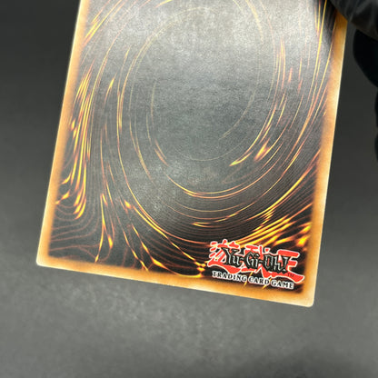 遊戯王　ブラックフェザー・ドラゴン/レリーフ/スペイン/1st/EU版