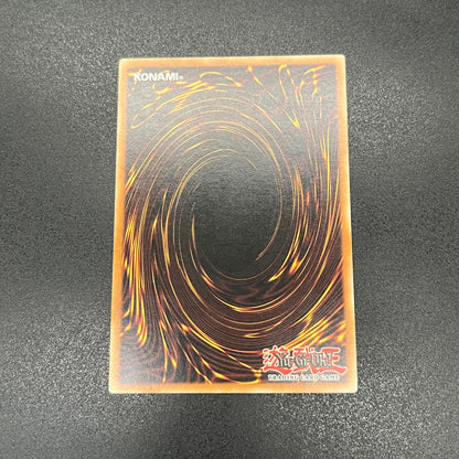 遊戯王　記憶破壊者/レリーフ/ドイツ語/EU版