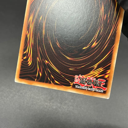 遊戯王　フォトン・ベール/レリーフ/ドイツ/1st/EU版