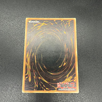 遊戯王　ブラックフェザー・ドラゴン/レリーフ/スペイン/1st/EU版