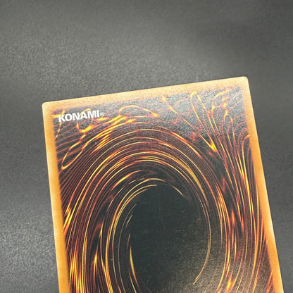 遊戯王　青眼の白龍/レリーフ/フランス語/EU版