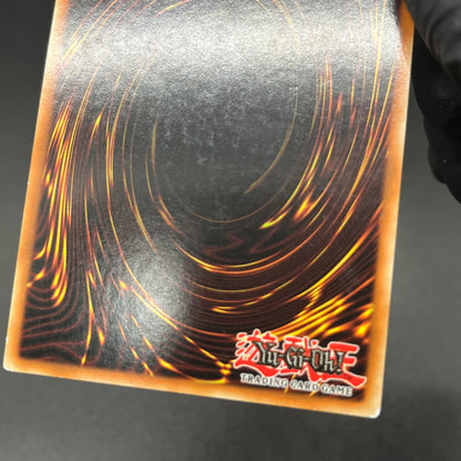 遊戯王　ダーク・ジェネラル・フリード/シークレット/ドイツ/EU版