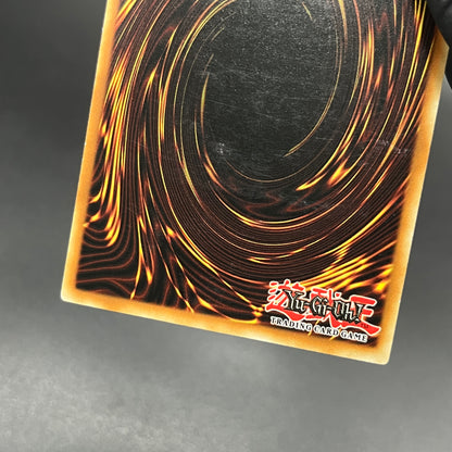 遊戯王　爆炎集合体 ガイヤ・ソウル/レリーフ/ドイツ/EU版