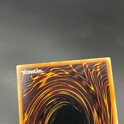 遊戯王　マスターモンク/レリーフ/ドイツ語/1st/EU版