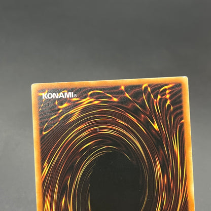 遊戯王　ライトニング・ボルテックス/レリーフ/ドイツ語/EU