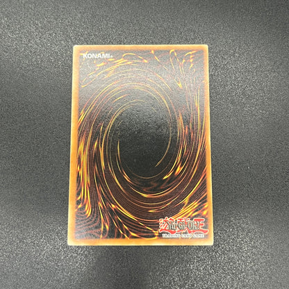 遊戯王　剣聖－ネイキッド・ギア・フリード/レリーフ/ドイツ語/EU版