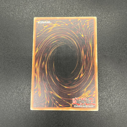 遊戯王　ディフェンシブ・タクティクス/レリーフ/ドイツ語/1st/EU版