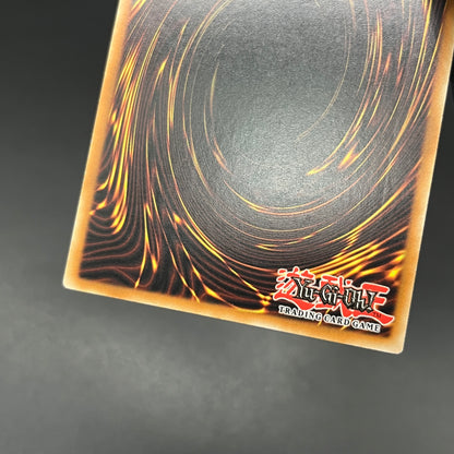 遊戯王　幻魔の殉教者/レリーフ/ドイツ語/EU版