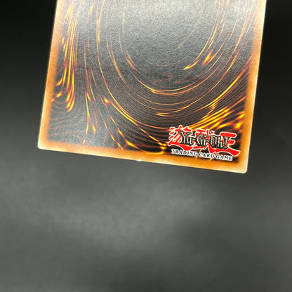 遊戯王　静寂の賢者/レリーフ/ドイツ/1st/EU版