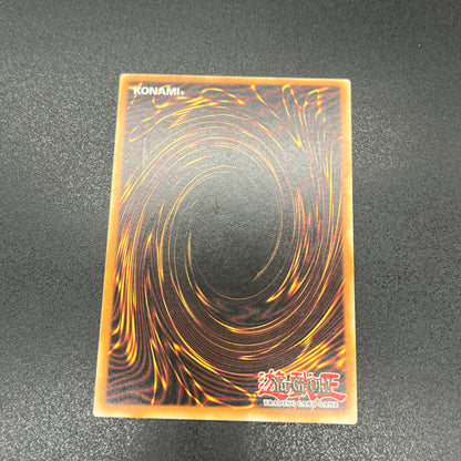 遊戯王　Ｅ・ＨＥＲＯ ワイルド・ウィングマン/レリーフ/ドイツ/1st/EU版