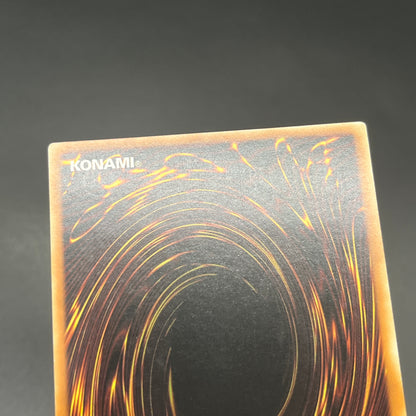 遊戯王　ヒーロー・シグナル/レリーフ/ドイツ語/1st/EU版