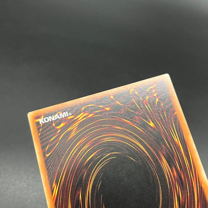 遊戯王　Ｅ・ＨＥＲＯ ブラック・ネオス/レリーフ/ドイツ語/EU版