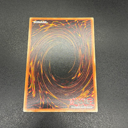 遊戯王　Ｍ∀ＬＩＣＥ ＩＮ ＵＮＤＥＲＧＲＯＵＮＤ/コレクターズ/英語/1st/EU