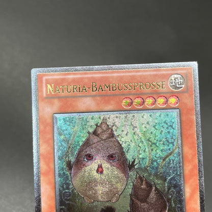 遊戯王　ナチュル・バンブーシュート/レリーフ/ドイツ/1st/EU版