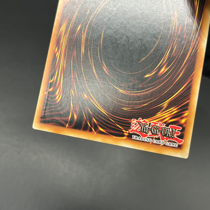 遊戯王　霧の王/レリーフ/英語/EU版