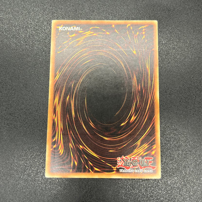 遊戯王　ナチュル・バンブーシュート/レリーフ/ドイツ/1st/EU版