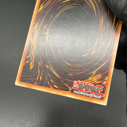 遊戯王　サンダー・エンド・ドラゴン/レリーフ/ドイツ/1st/EU版