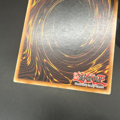 遊戯王　フレンドッグ/レリーフ/ドイツ/EU版