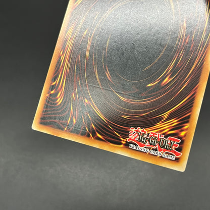 遊戯王　霧の王/レリーフ/英語/EU版