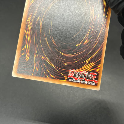 遊戯王　システム・ダウン/レリーフ/英語/EU版