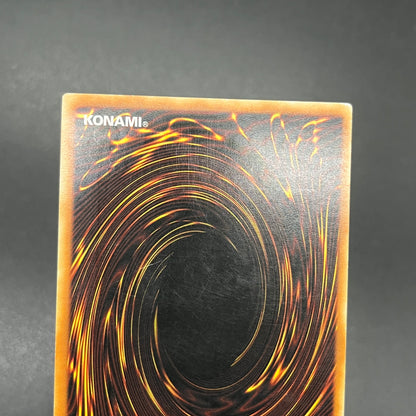 遊戯王　お家おとりつぶし/レリーフ/ドイツ語/EU版