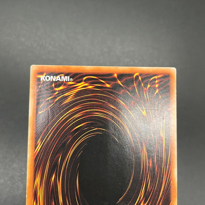 遊戯王　ツイン・フォトン・リザード/レリーフ/ドイツ語/1st/EU版