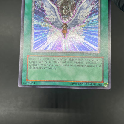 遊戯王　進化する翼/レリーフ/ドイツ語/EU版