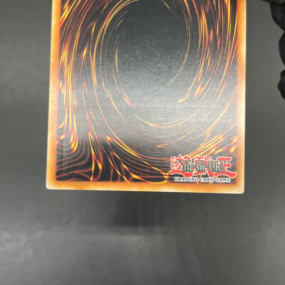 遊戯王　Ｎｏ.２０ 蟻岩土ブリリアント/レリーフ/スペイン語/EU版