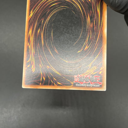 遊戯王　キラーザウルス/レリーフ/ドイツ語/EU版