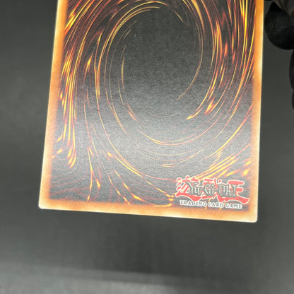 遊戯王　地球巨人 ガイア・プレート/レリーフ/イタリア/EU版