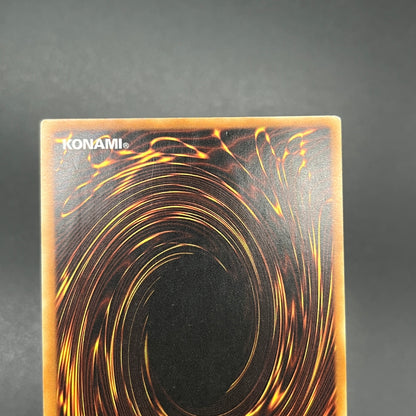 遊戯王　インフェルニティ・デス・ドラゴン/レリーフ/ドイツ/EU版