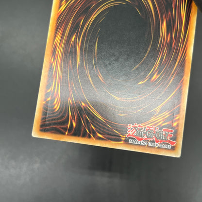 遊戯王　暴走する魔力/レリーフ/ドイツ/EU版