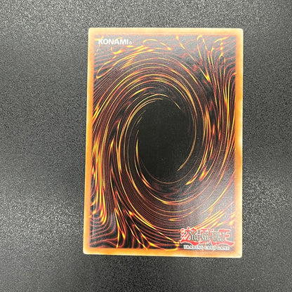 遊戯王　鳥銃士カステル/レリーフ/イタリア語/EU版