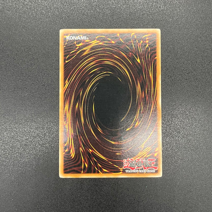 遊戯王　セイヴァー・デモン・ドラゴン/レリーフ/英語/北米版