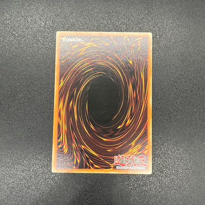 遊戯王　漆黒の魔王 ＬＶ６/レリーフ/ドイツ語/1st/EU