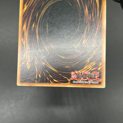 遊戯王　黒羽の宝札/レリーフ/イタリア語/1st/EU版