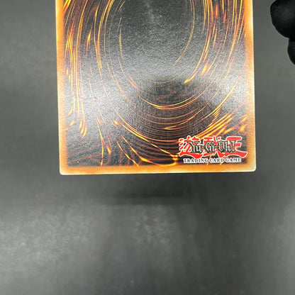 遊戯王　お家おとりつぶし/レリーフ/ドイツ語/1st/EU版