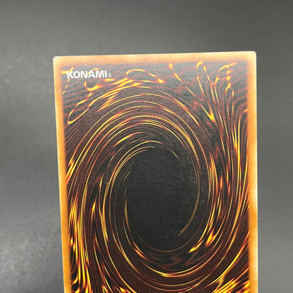 遊戯王　エネルギー吸収板/レリーフ/ドイツ語/1st/EU