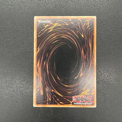 遊戯王 ダーク・ホルス・ドラゴン/レリーフ/ドイツ/EU版 – カード 遊戯王 ダーク・ホルス・ドラゴン/レリーフ/ドイツ/EU版 – カード