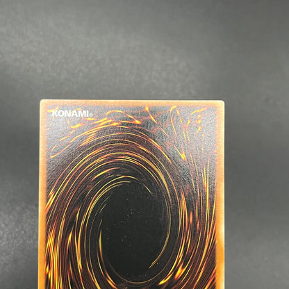 遊戯王　ミドル・シールド・ガードナー/レリーフ/ドイツ/1st/EU版