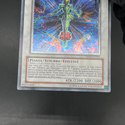 遊戯王　スプレンディッド・ローズ/レリーフ/イタリア語/EU版