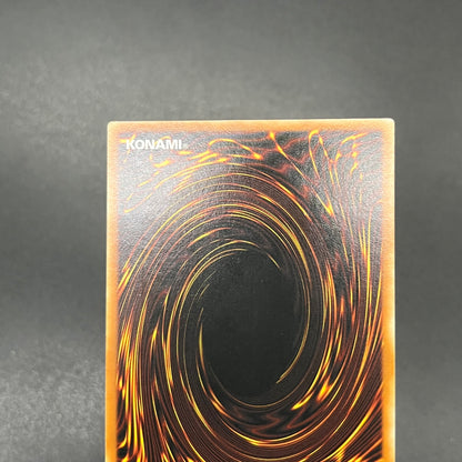 遊戯王　お家おとりつぶし/レリーフ/スペイン語/1st/EU版