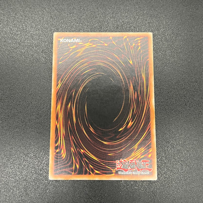 遊戯王　エクシーズ・リフレクト/レリーフ/ドイツ語/1st/EU版