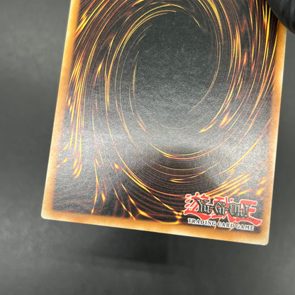 遊戯王　妨害電波/レリーフ/イタリア/1st/EU版