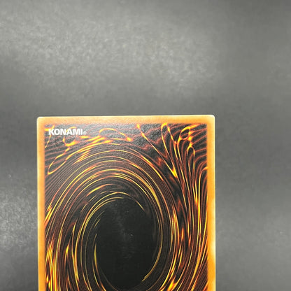 遊戯王　お家おとりつぶし/レリーフ/ドイツ語/1st/EU版