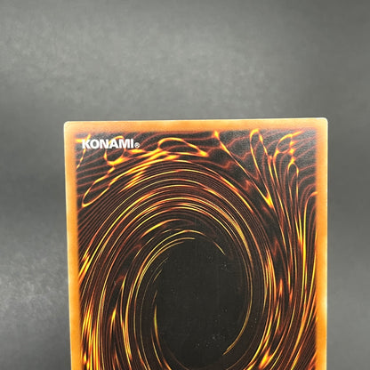 遊戯王　セイヴァー・スター・ドラゴン/レリーフ/フランス語/EU版